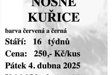 Nosné Kuřice - prodej
