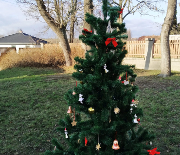 Advent 2019