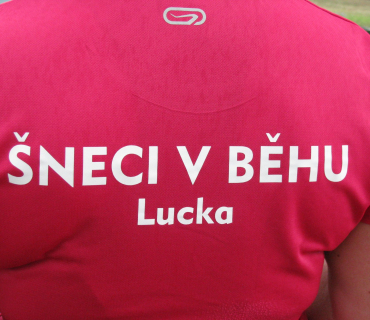 Miřejovické půlení 2019
