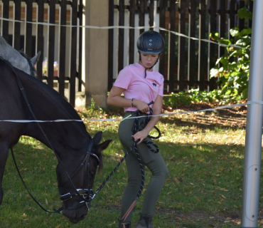 Novoveské posvícení