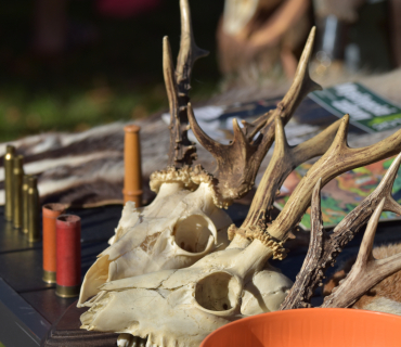 Novoveské posvícení